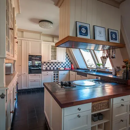 Zaanhof luxurious Amsterdam Zaanse Schans Loft Apartment Zaandijk
