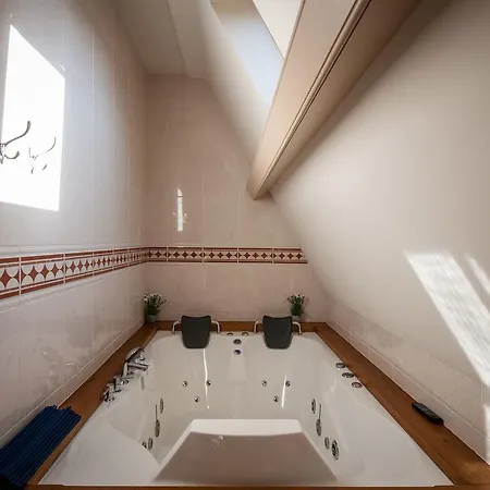 Apartament Zaanhof luxurious Amsterdam Zaanse Schans Loft